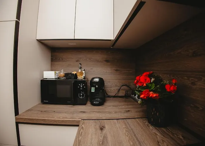 White House Iris Napoca - 5 Apartment Cluj-Napoca