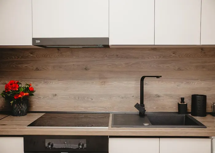 White House Iris Napoca - 5 * Cluj-Napoca