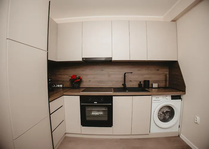 White House Iris Napoca - 5 Apartment Cluj-Napoca